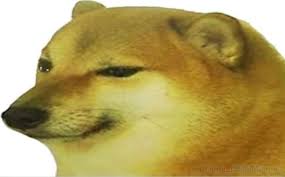 Cho